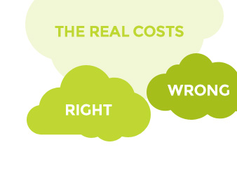 El precio incorrecto y el precio de Ryano- Ofreciéndole siempre a nuestros clientes el precio real que incluye costos operacionales y de implementación.